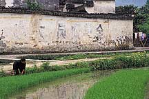 Anhui's Guanlu village,Sample2006