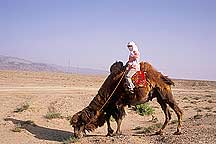 Picture of  Jiayuguan Fortress