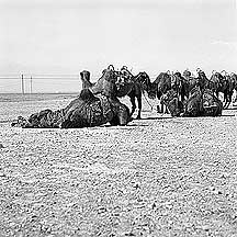 Picture of  Jiayuguan Fortress