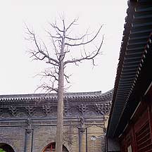 Taiyuan City - Twin Pagoda,Sample2006