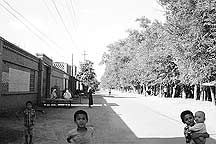 Turpan Erbaoxiang village,Sample2006