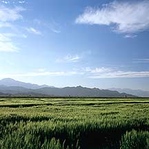 Picture of  Ļ Yinchuan's Western Xia Royal Tombs