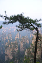 Picture of ɽ Tianzi Mountains