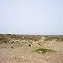 ߺγ֮Ŷǣ Great Wall and Sand Dunes near Dingbian