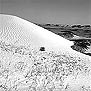 ߺγ֮Ŷǣ Great Wall and Sand Dunes near Dingbian