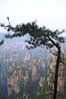 ɽ Tianzi Mountains