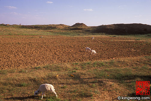  Dingbian County