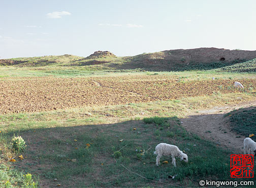  Dingbian County