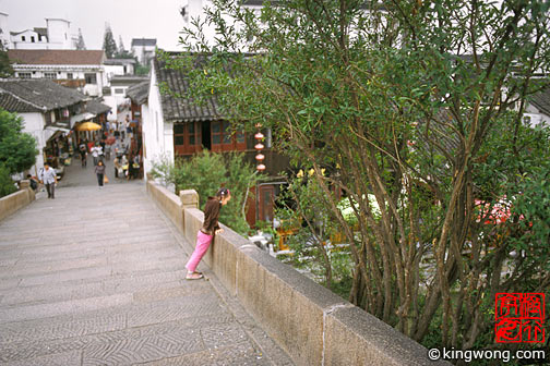 ҽ Zhujiajiao Town