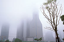 Picture of Ϻ Shanghai City