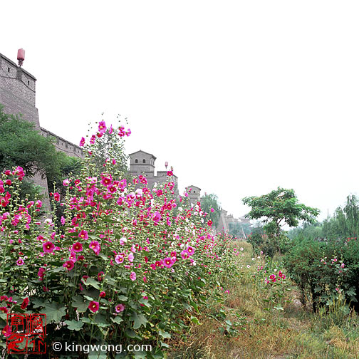 ƽң Pingyao