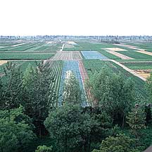 Picture of ׯ԰ Chang Family's Compound