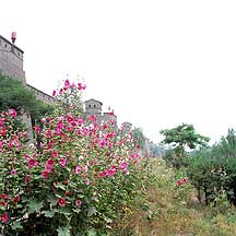 Picture of ƽң Pingyao