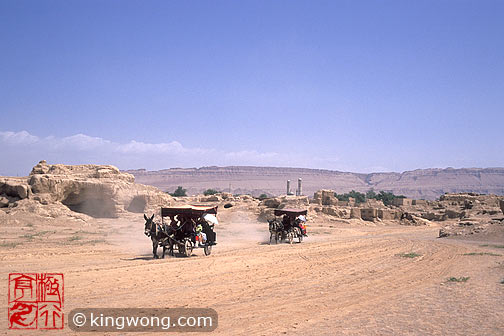 高昌故城 - 驴车 Gaochang Ruins - Donkey Cart