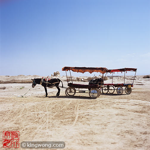 ߲ʳ - ¿ Gaochang Ruins - Donkey Cart