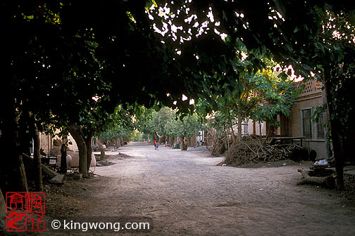 ³ - ֵ Tulufan (Turfan) - Erabaoxiang road scene