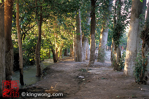 ³ - ˮ Tulufan (Turfan) - Erabaoxiang water channel