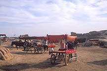 Gaochang Ruins - Donkey Cart,Gaochang