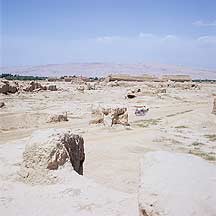 Picture of 高昌故城 - 驴车 Gaochang Ruins - Donkey Cart