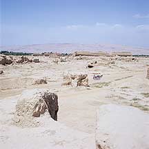 Gaochang Ruins - Donkey Cart,Gaochang