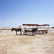 Gaochang Ruins - Donkey Cart,Gaochang