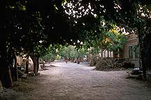 Tulufan (Turfan) - Erabaoxiang road scene,Tulufan