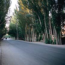 Tulufan (Turfan) - Erabaoxiang road,Tulufan