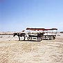 ߲ʳ - ¿ Gaochang Ruins - Donkey Cart