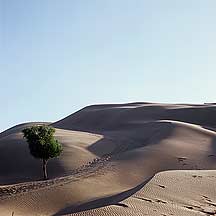 ɳ Picture of Xiangshawan Desert Dunes 